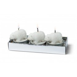 3 bougies ours polaire