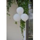 8 Ballons colombes