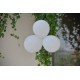8 Ballons colombes