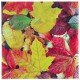 20 Serviettes Automne