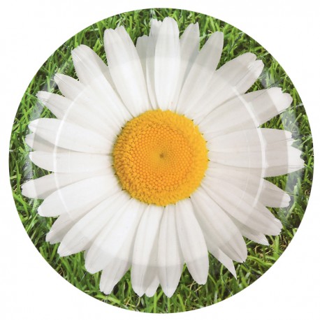 10 Assiettes Marguerite