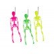 Squelettes fluo 3 assortis
