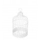 Cage Oiseau