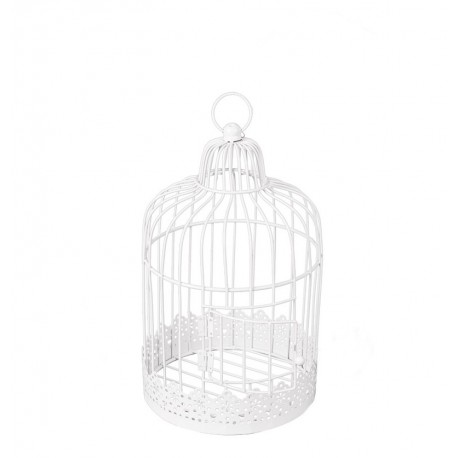 Cage Oiseau