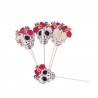 Pics Calaveras