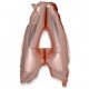 Ballons Métal Rose Gold