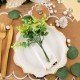 Branches Eucalyptus Vert Blanchi 17 cm Sur Tige