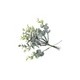 Branches eucalyptus vert blanchi 17 cm sur tige