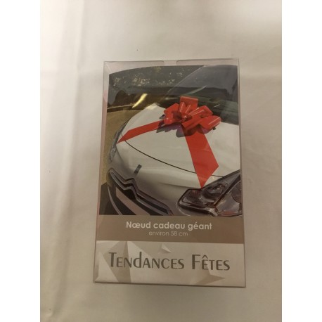 Noeud cadeau geant