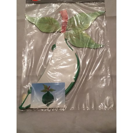 Citron Vert Papier Alvéolée