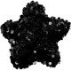 10 Etoiles pailletées