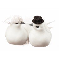 Couple Colombes Mariés sur Pic