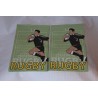 Guirlande Fanions Rugby