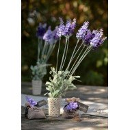 Ruban Crochet Naturel