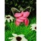 Boite Forme Papillon Plexi Transparente x4