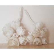 Boutons de Pivoine Ivoire x12