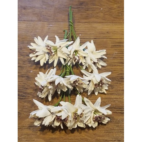 Fleurs Blanche sur Tige x12