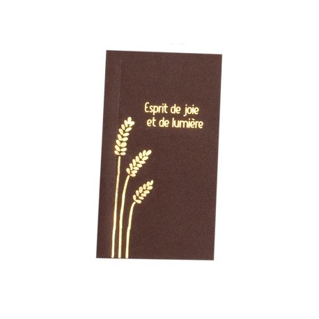 Image Communion Chocolat Epis Or