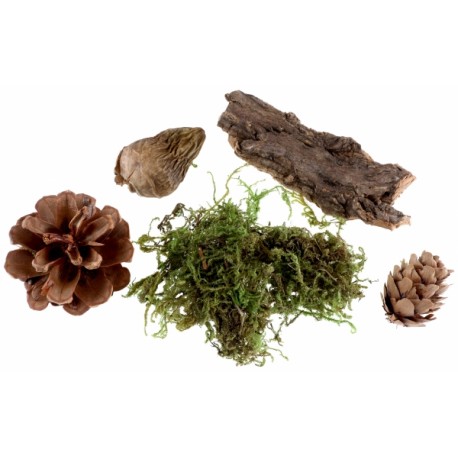 Assortiment Mousse Nature