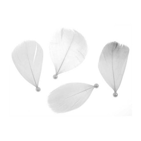 Plumes Blanches Avec Perle