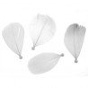 Plumes Blanches Avec Perle