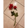 Rose sur Tige Rouge ou Noire