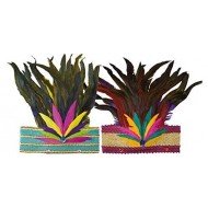 Bandeau Rio de Janeiro avec Plumes