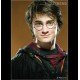 Lunette Harry Potter