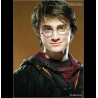 Lunette Harry Potter