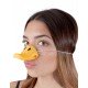 Nez de Canard