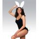 Kit Lapin