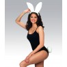 Kit Lapin