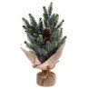 Petit Pot Sapin Multicolore